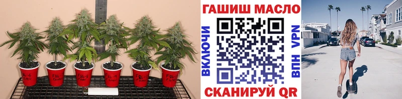 OMG зеркало  Соль-Илецк  Дистиллят ТГК гашишное масло 