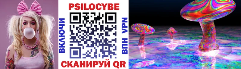 купить наркотики цена  Соль-Илецк  Галлюциногенные грибы MAGIC MUSHROOMS 