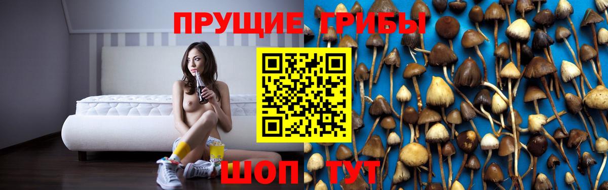 Галлюциногенные грибы GOLDEN TEACHER  Вход с VPN  Соль-Илецк  Псилоцибиновые грибы Magic Shrooms 