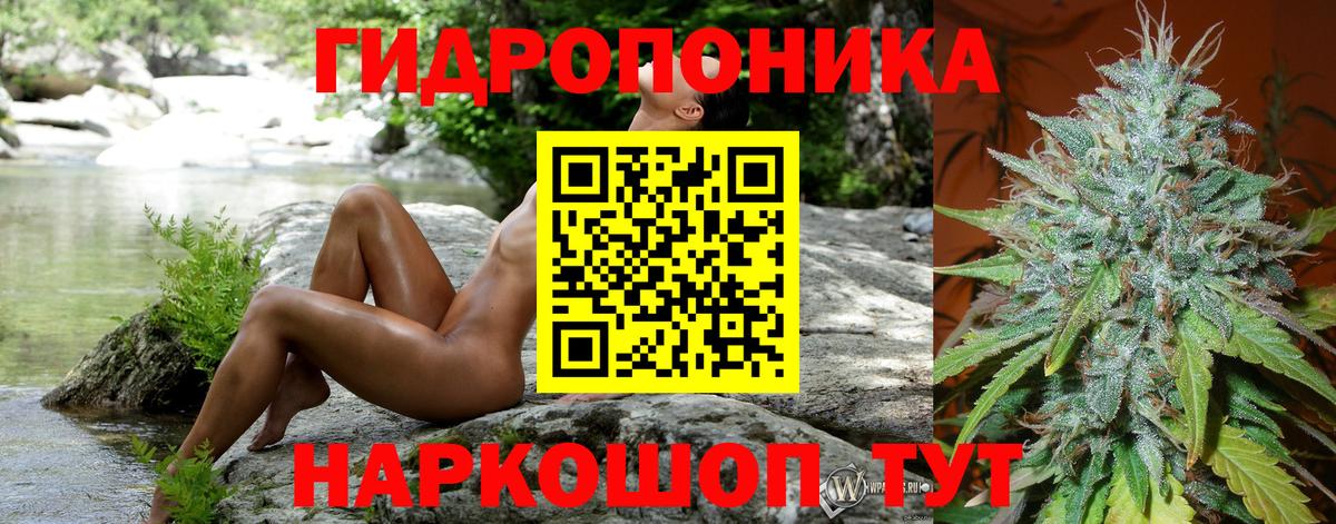 Бошки марихуана White Widow Соль-Илецк