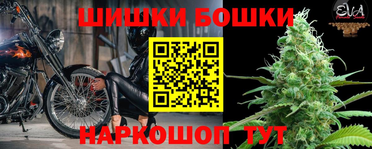 Соль-Илецк  Бошки Шишки план  Вход с VPN  Бошки Шишки Ganja  Бошки марихуана индика  МАРИХУАНА марихуана 